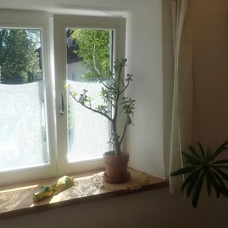 Appartement Im Laden *